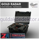 Gold Radar Alan Tarama